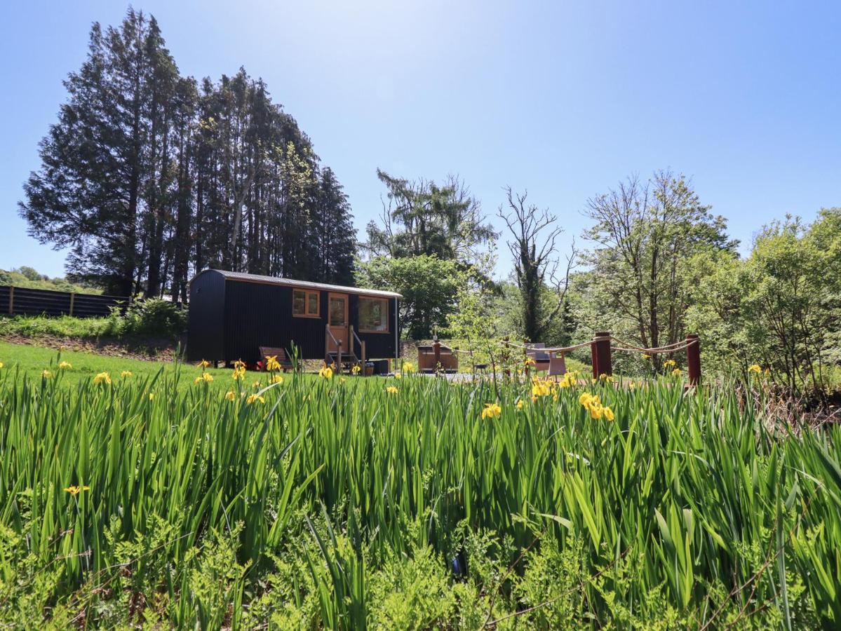 Celyn - Bed and Breakfast Dolgellau