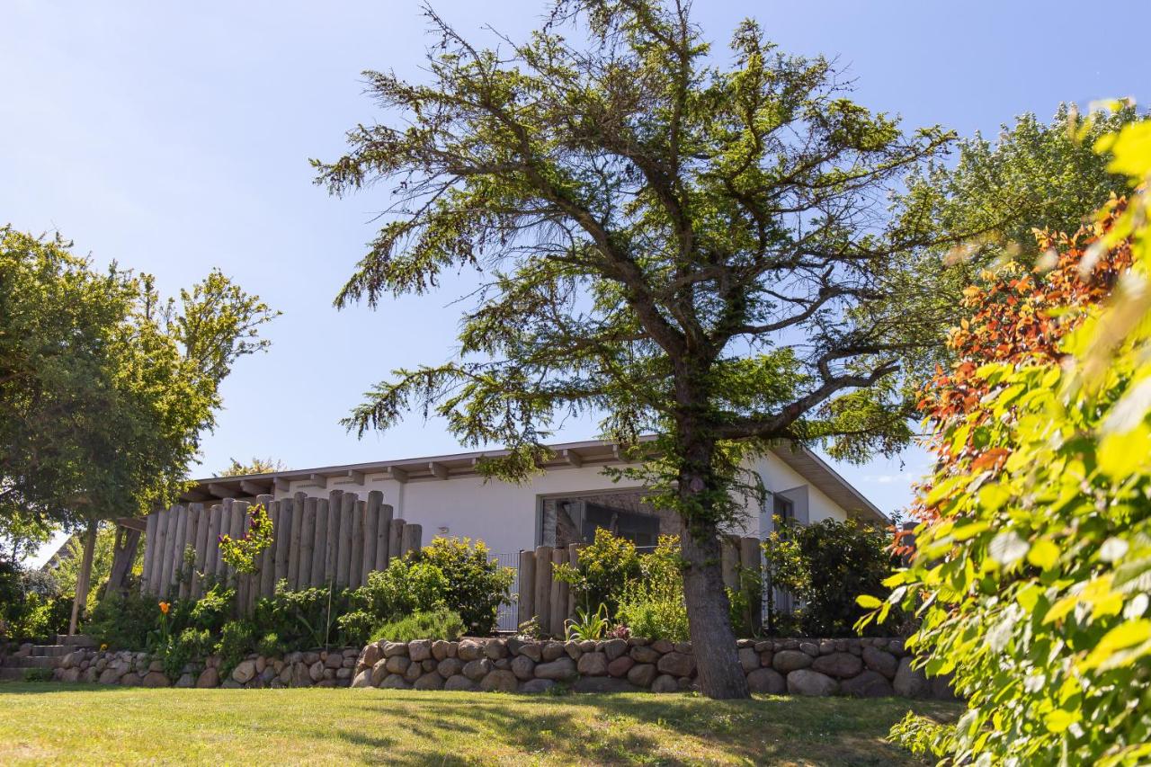 Haus Anna Atelier - Ferienwohnung Ostseebad Ahrenshoop