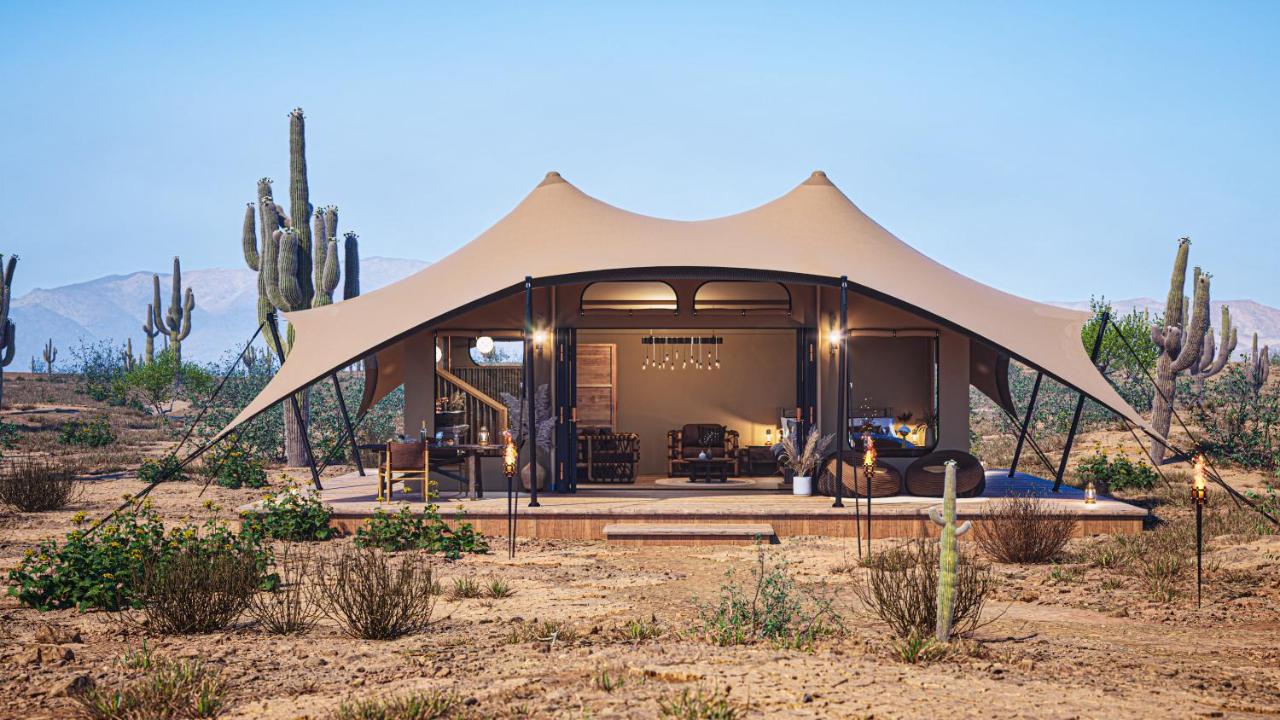 SaguaroGlamp - B&B Marana