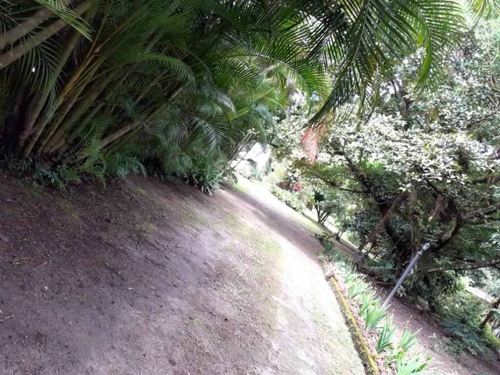 Casa en El Cráter del Volcán - B&B El Valle
