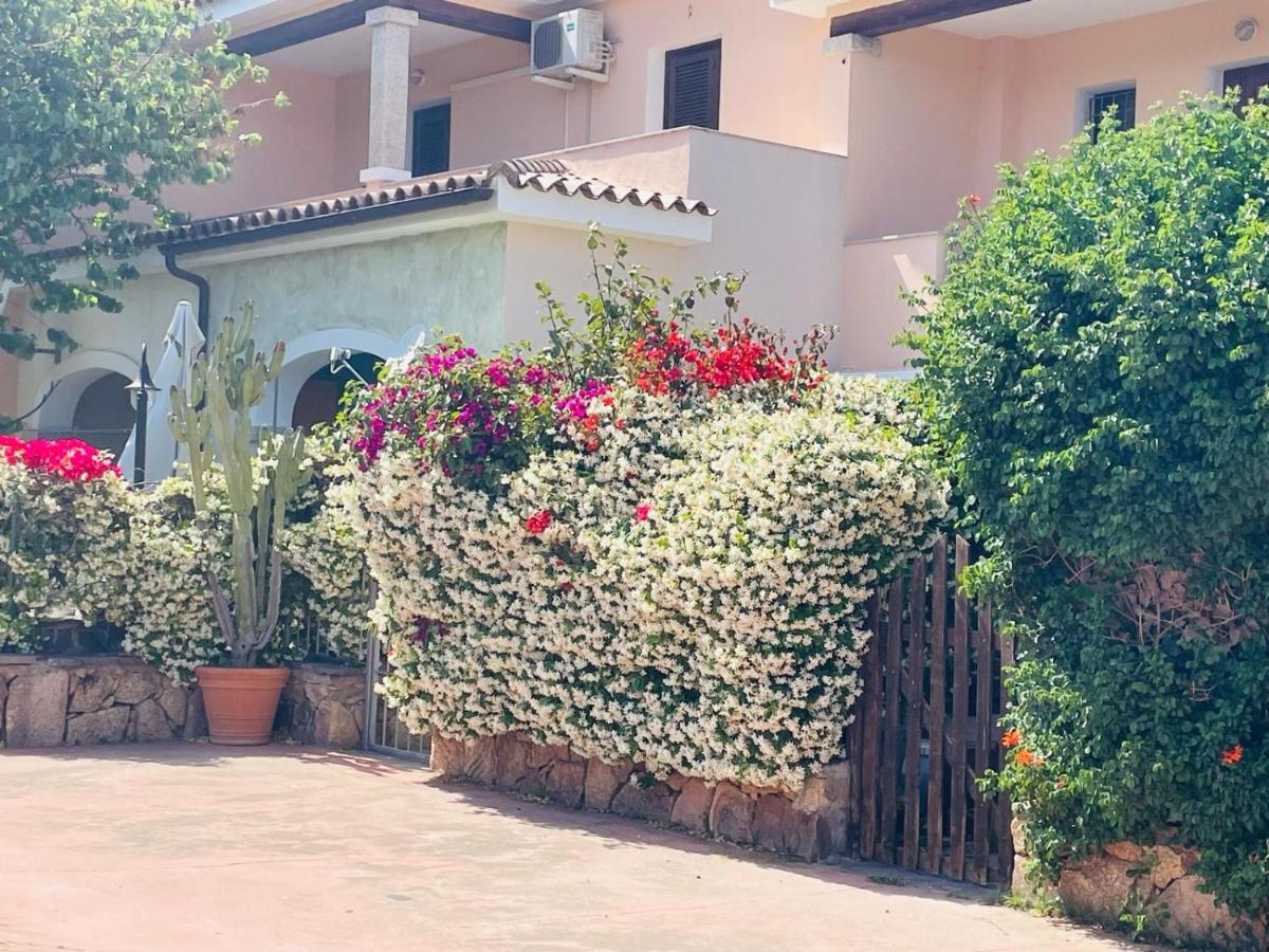 Appartamento le querce - Ferienwohnung Vaccileddi
