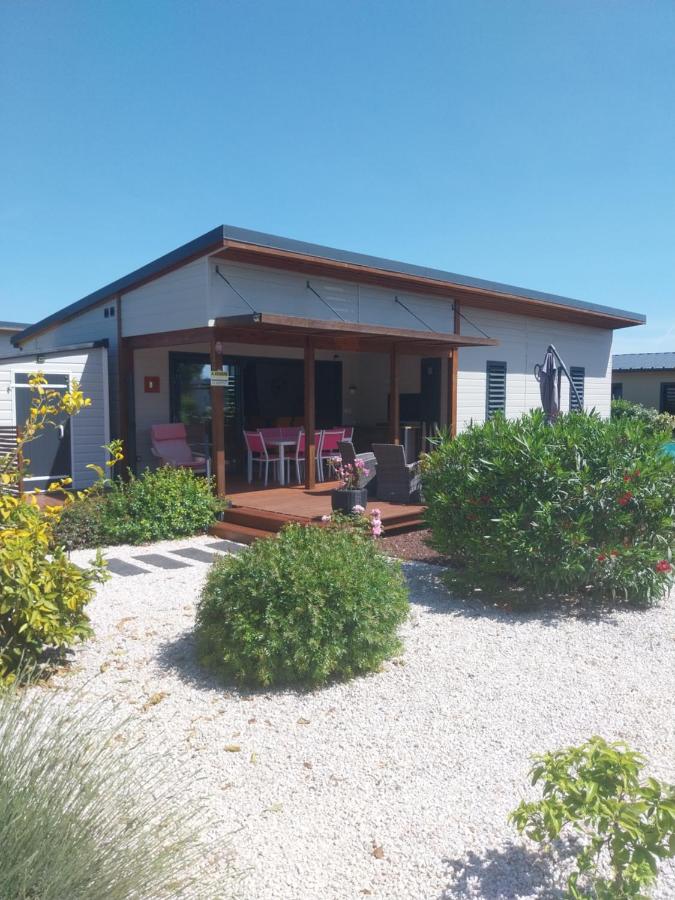 Entre vignes et mer - Bed and Breakfast