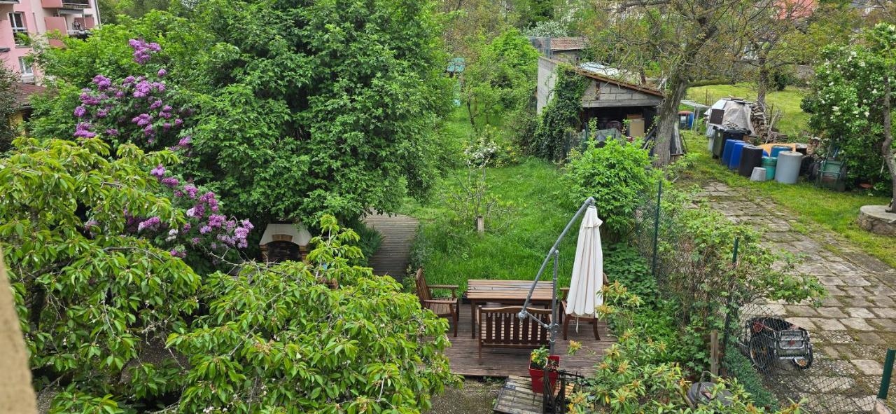 Appartement avec jardin à Colmar - B&B Colmar