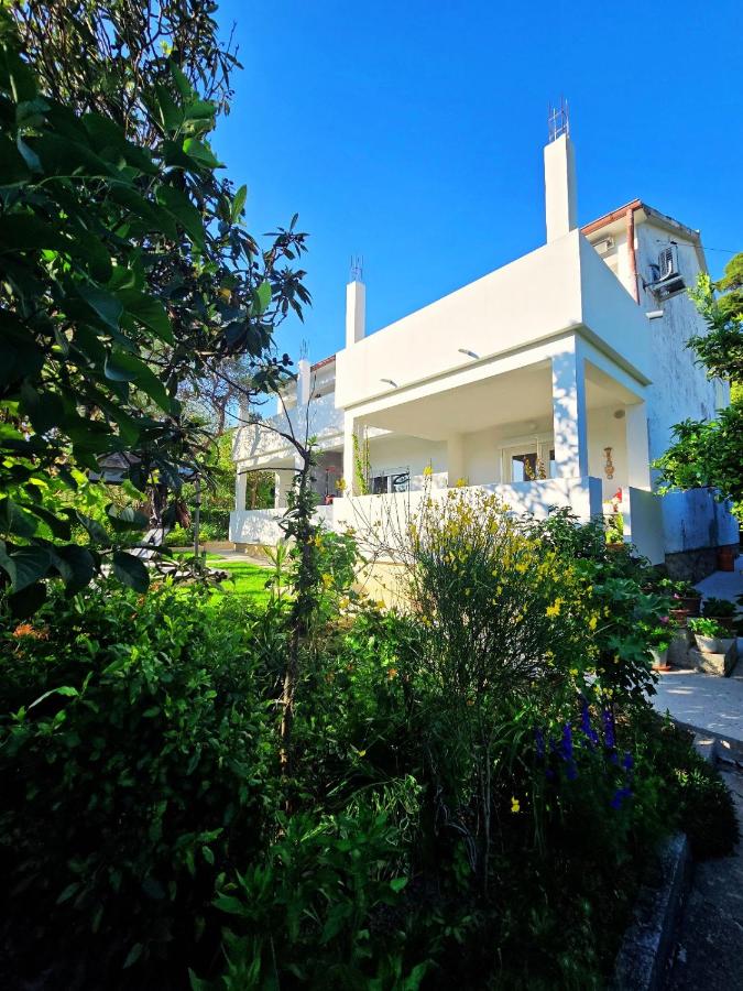 Studio Apartman Blagdan - B&B