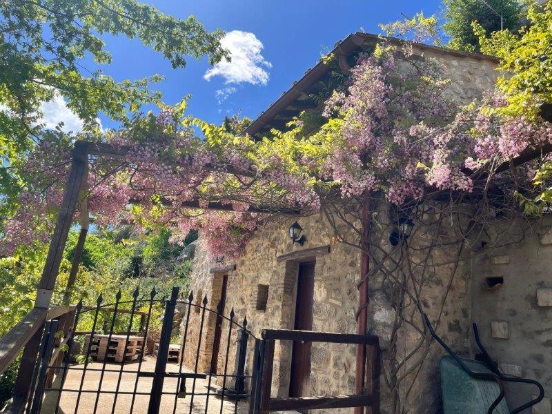 La luce dell'est - B&B Tolfa