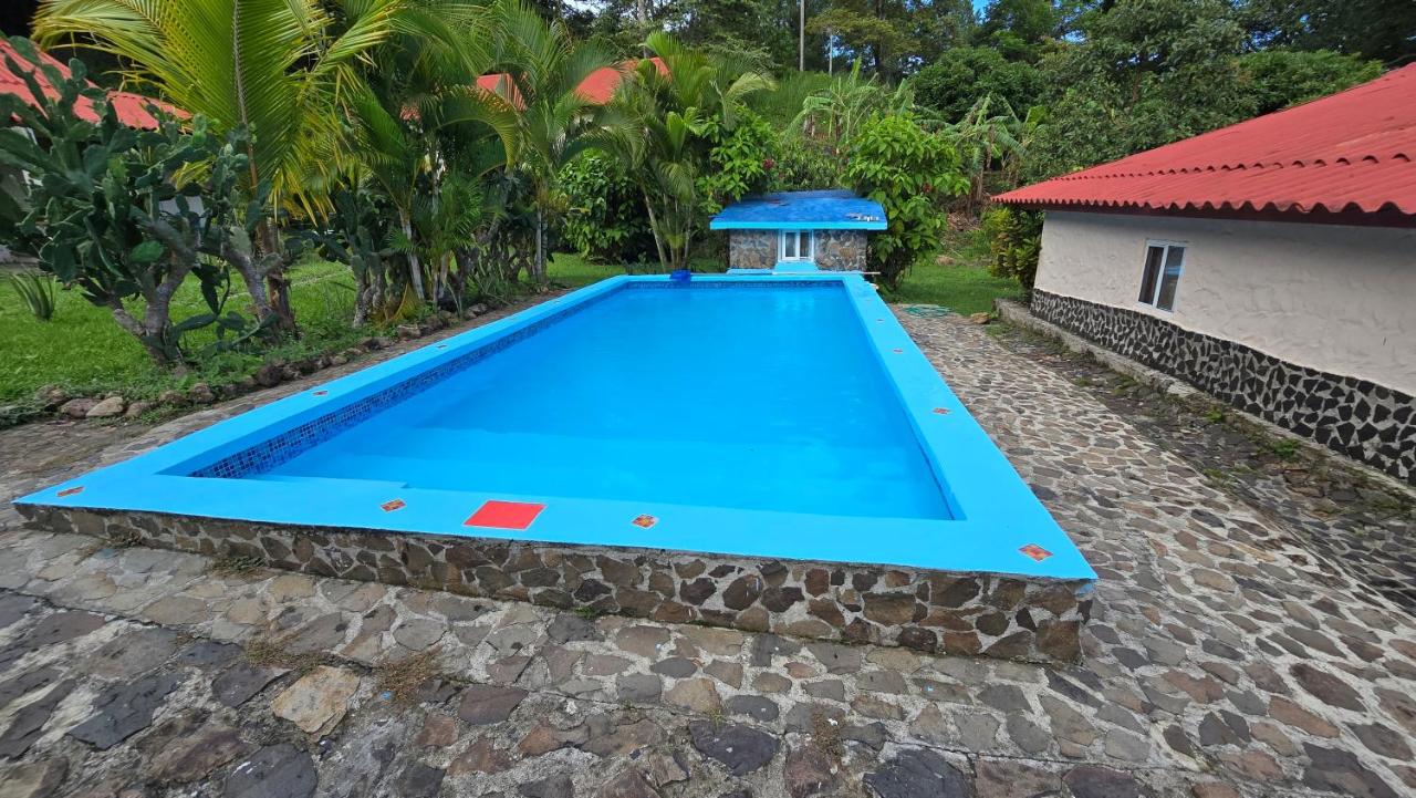 Cozy Houses in Tropical Forest Mountain Paradise - Chambres d’hôtes Sorá
