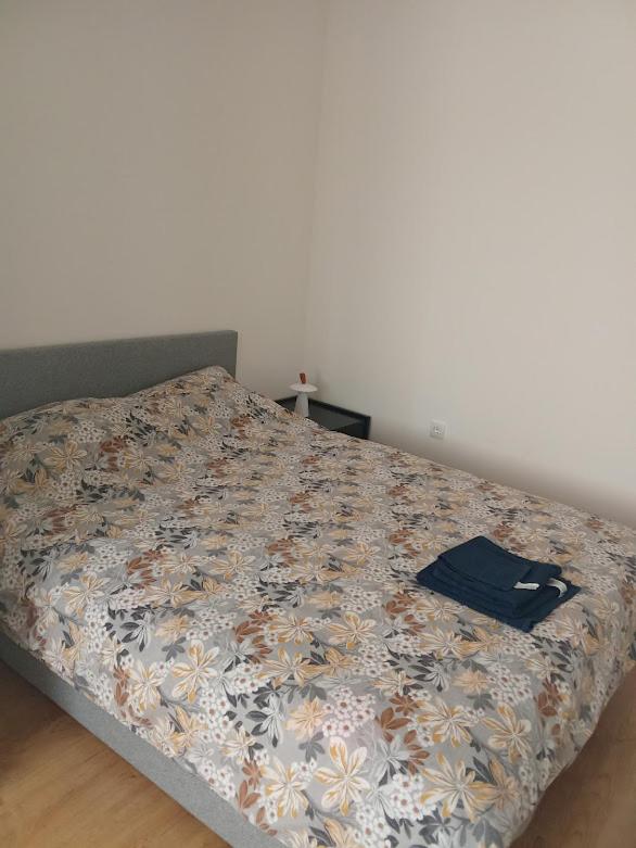 Apartment mit 1 Schlafzimmer