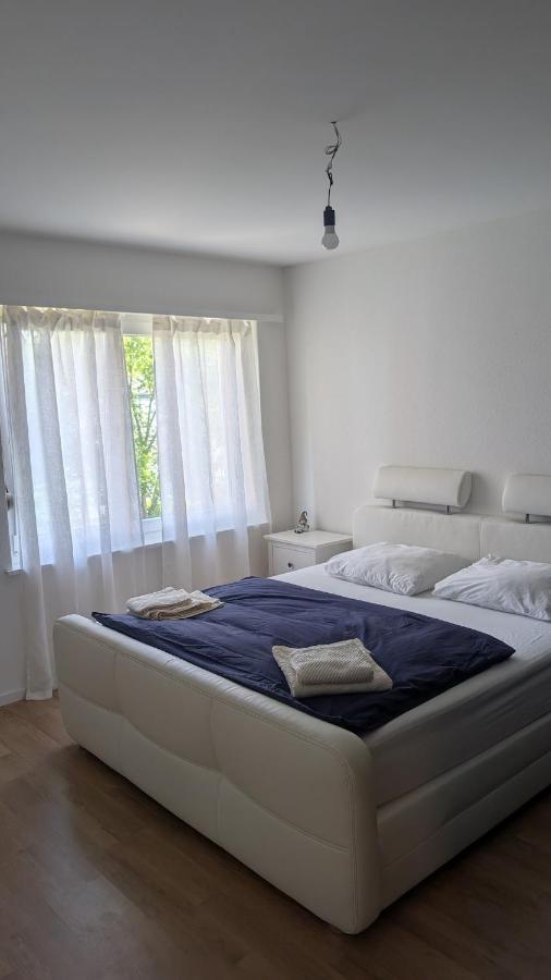Luxury Apartment in very Good Location near Basel City - B&B