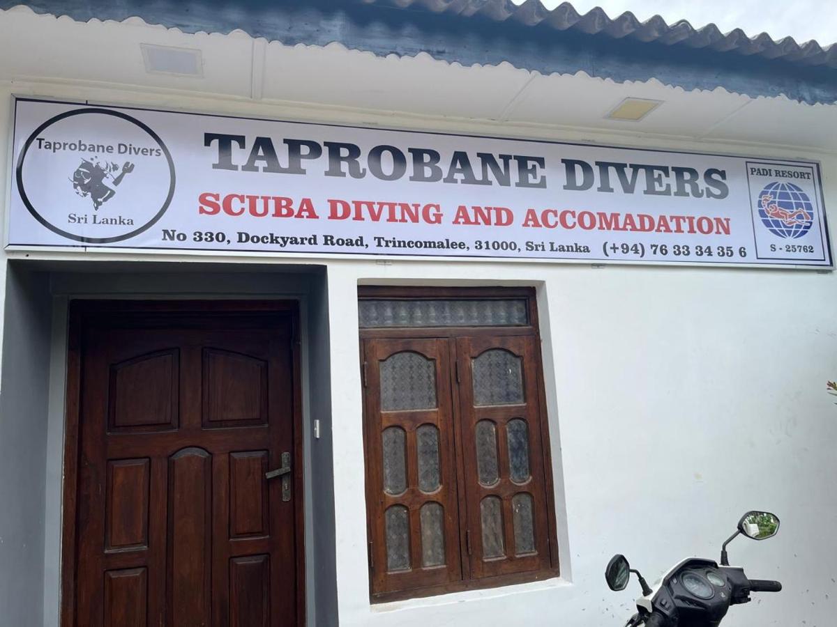 Taprobane Resort - B&B