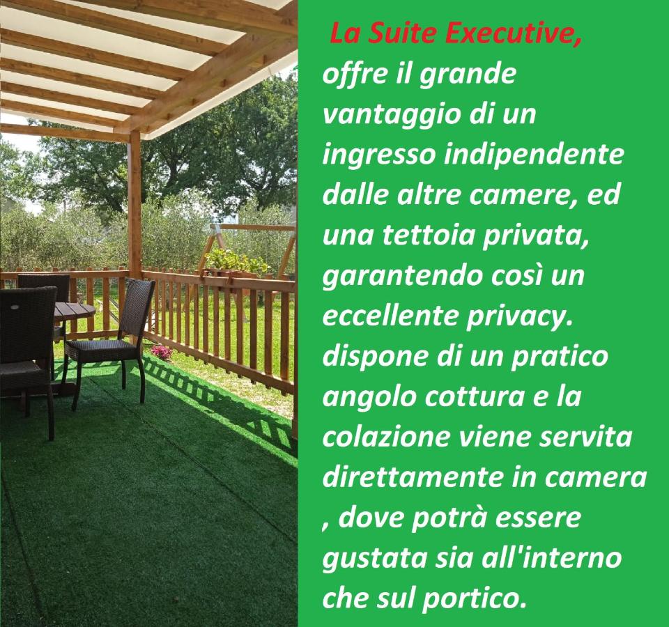 Suite Executive