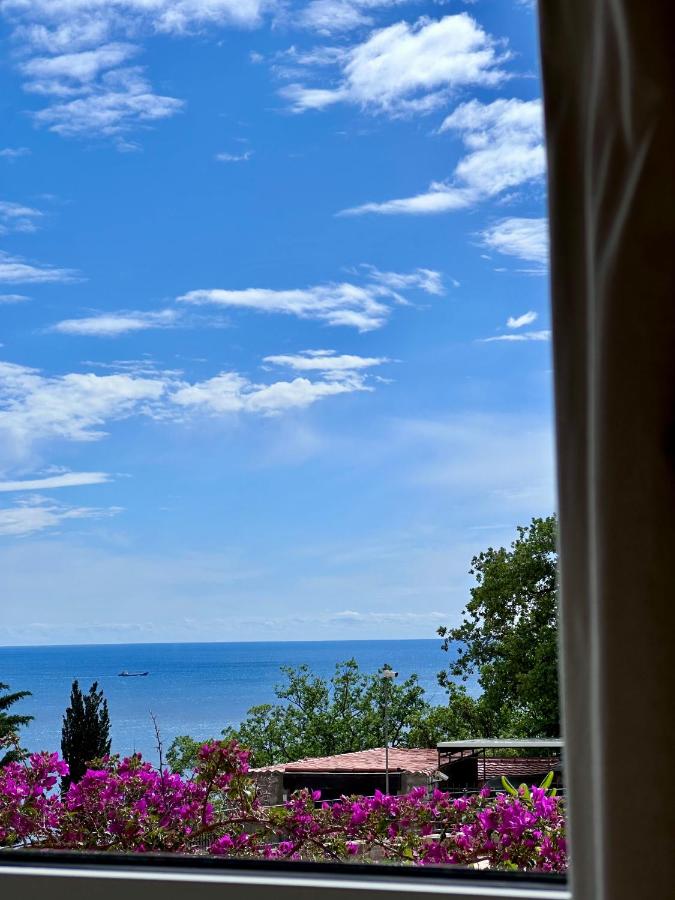 Perazica SeaView - Bed and Breakfast Perazića Do