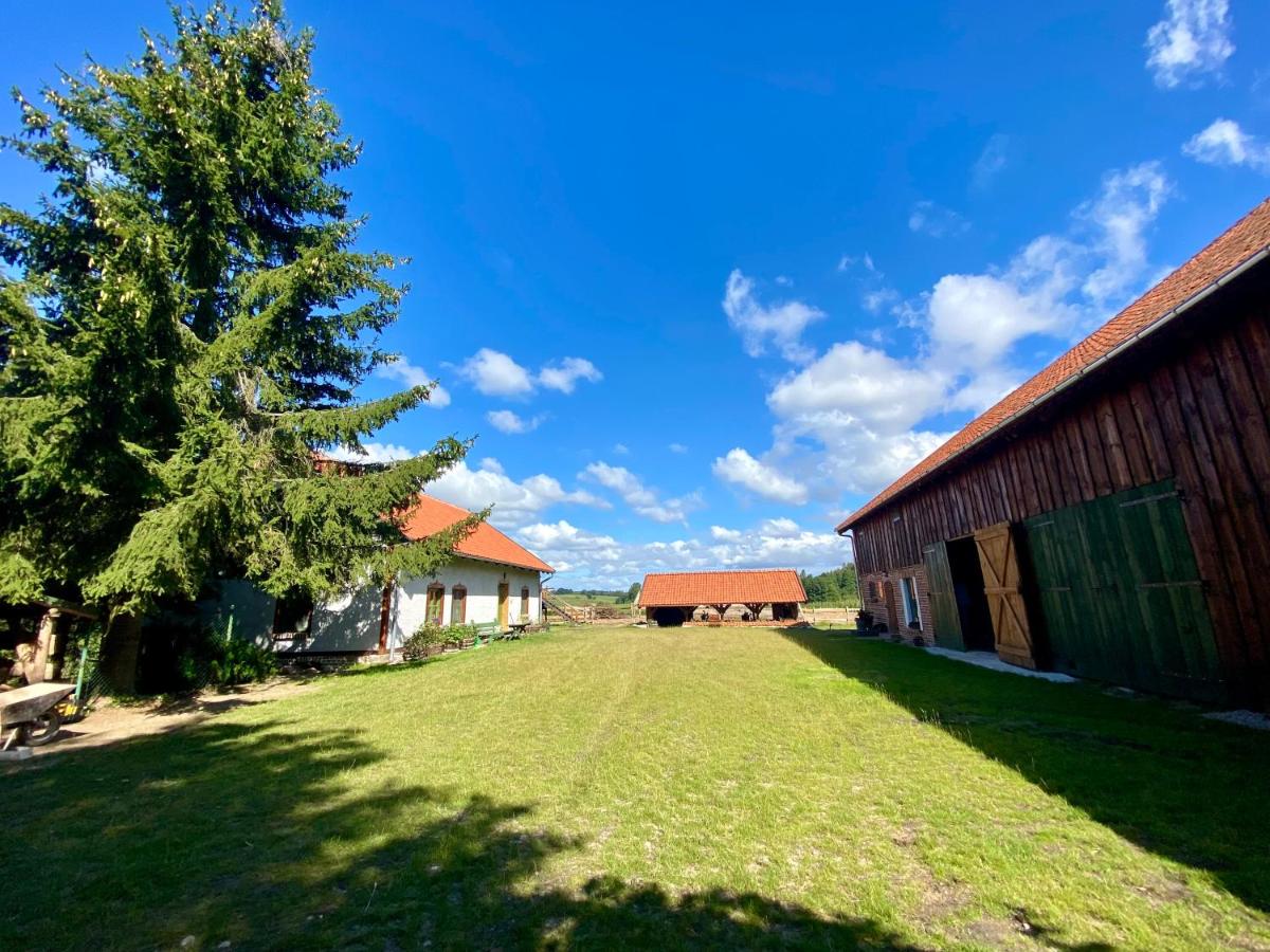 Dom na wyłączność Kruzy36 - B&B
