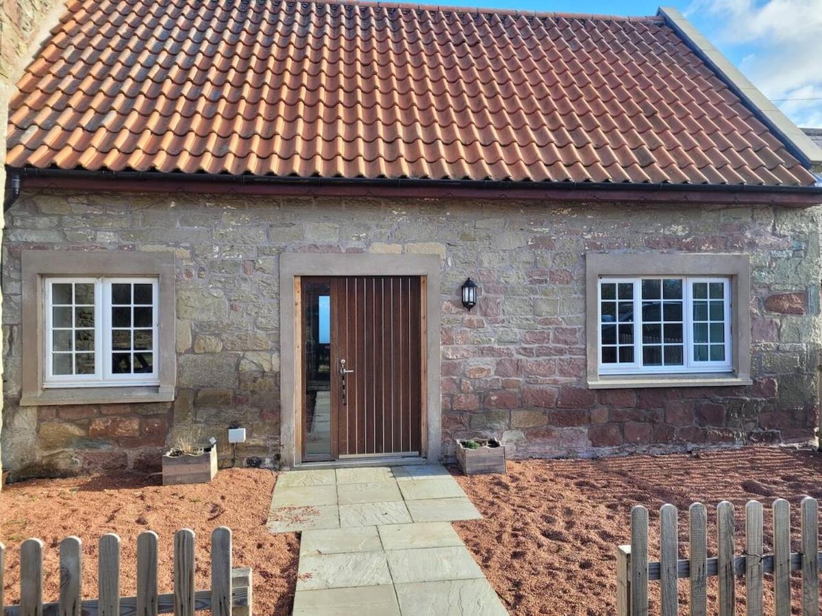 Cosy country cottage beside Ancient Woodlands - Bed and Breakfast Paxton