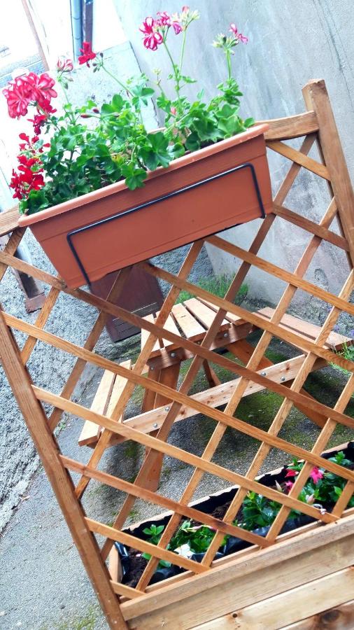 Gites des Mines d'Argent- Le Saint-Louis 5 personnes avec terrasse privative-Le Saint-Barthélemy 4 personnes - Ferienwohnung Sainte-Marie-aux-Mines