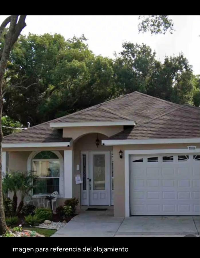 Jeli Suite - Ferienwohnung Tampa