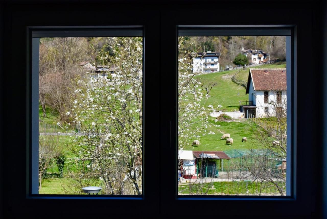 salvia - Bed and Breakfast Arta Terme