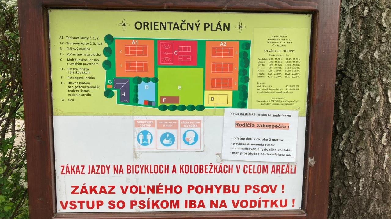Apartment Safarikova - B&B