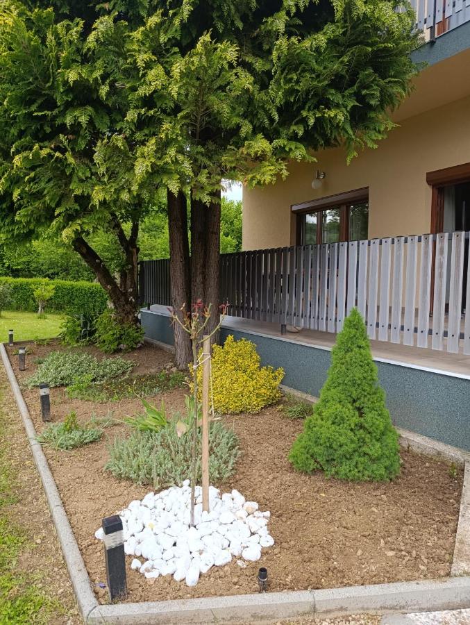 Apartments Rooster - B&B