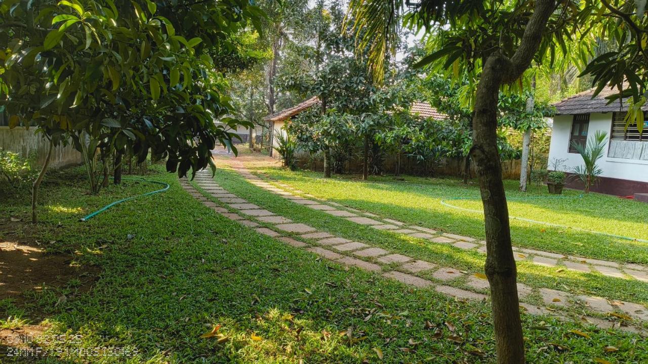 The Mangosteen Homestay - B&B