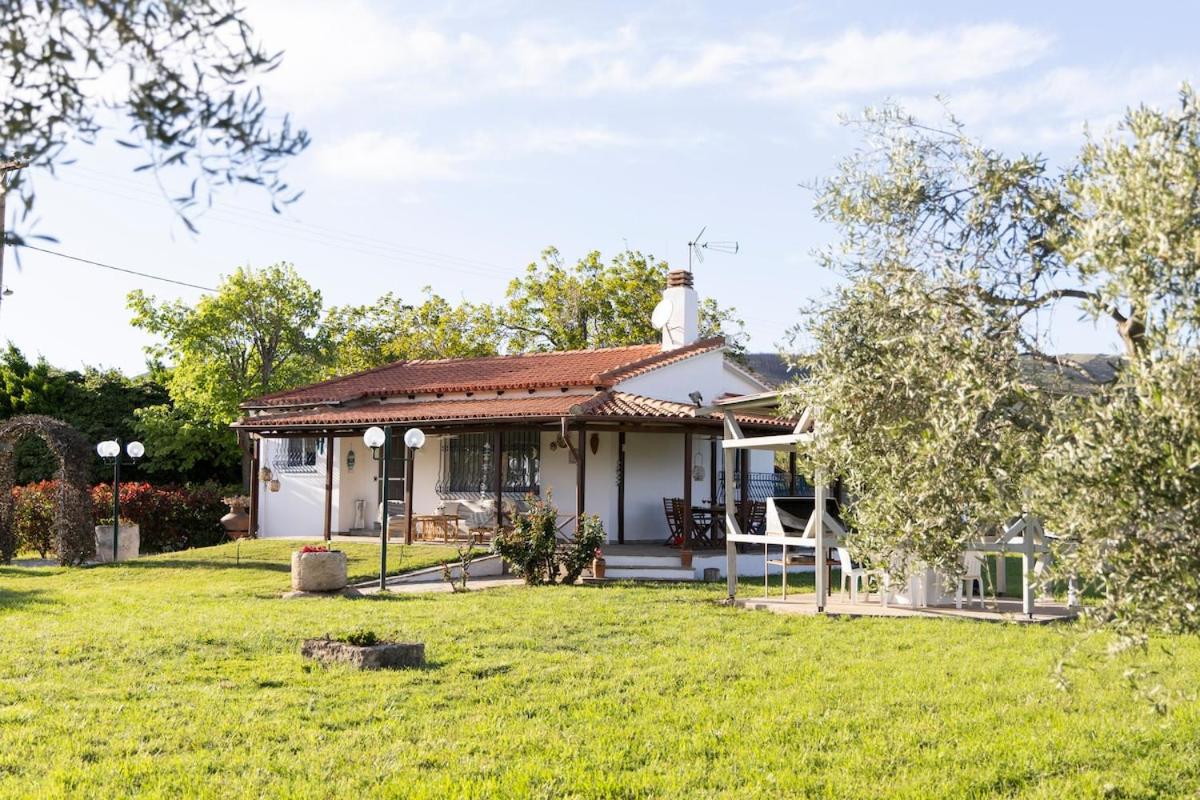 Theros, garden and sea - Bed and Breakfast Mesimvría