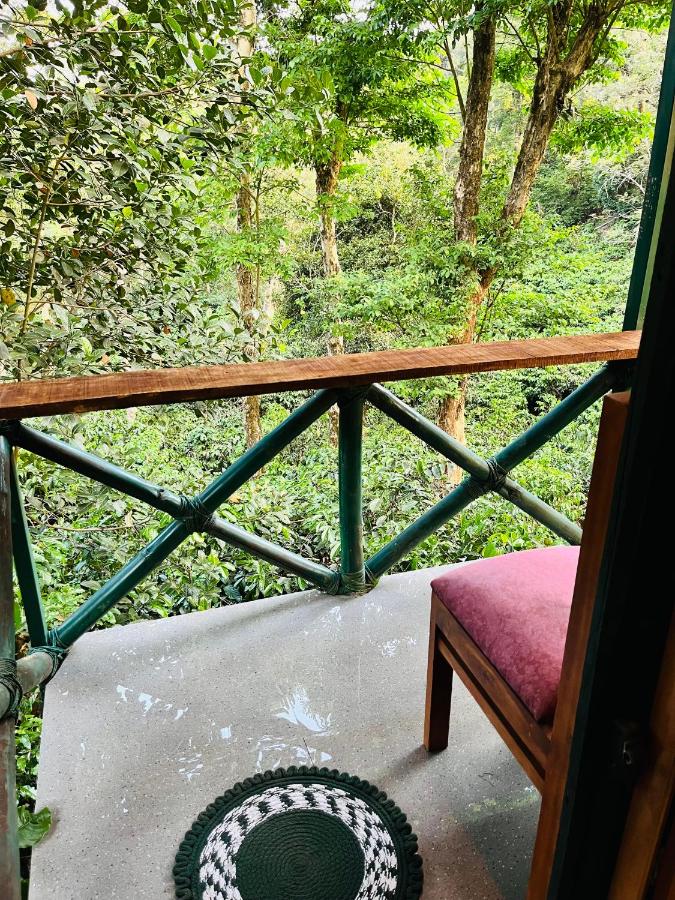 Green Heaven - B&B Madikeri