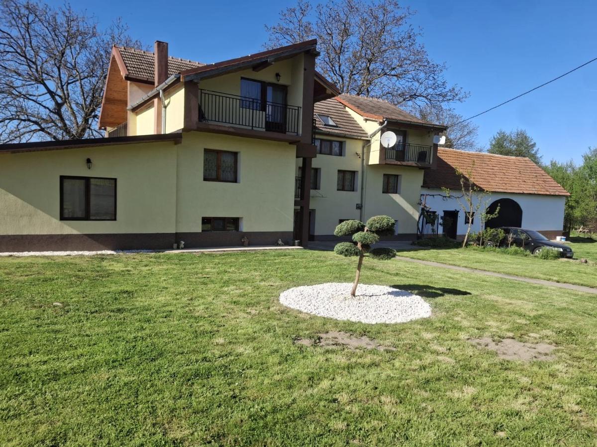 Casa Dani - B&B Sibișel
