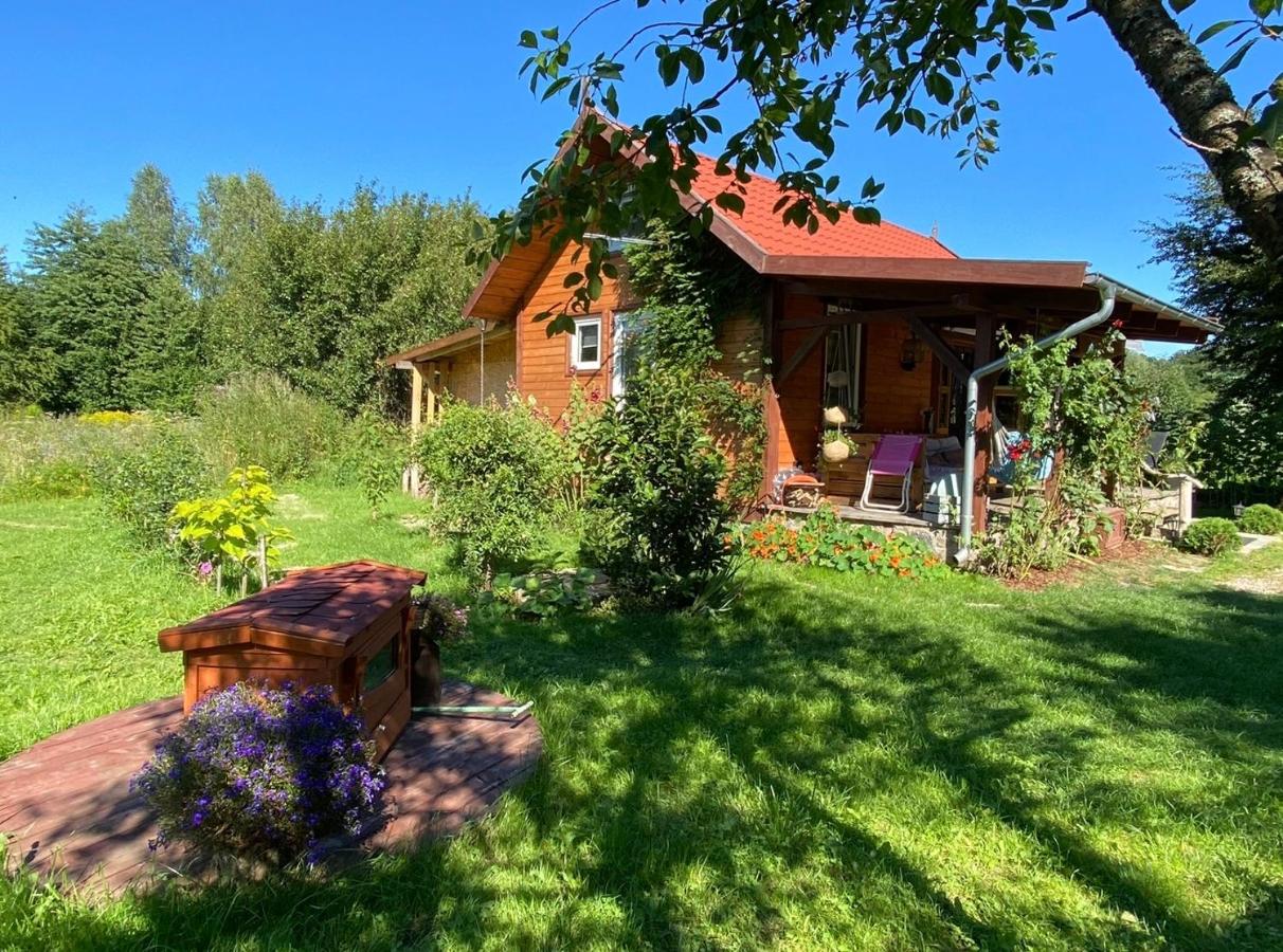 Domek pod lasem