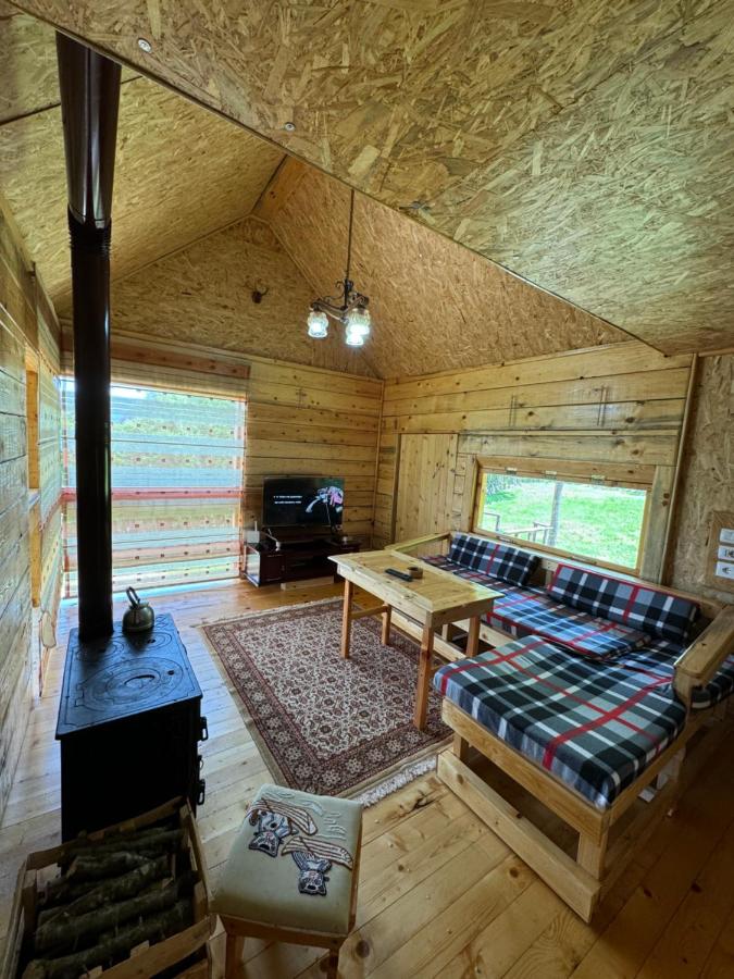 Family Room with Mountain View