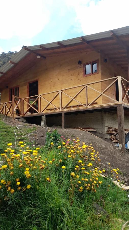 Chalet met 2 Slaapkamers
