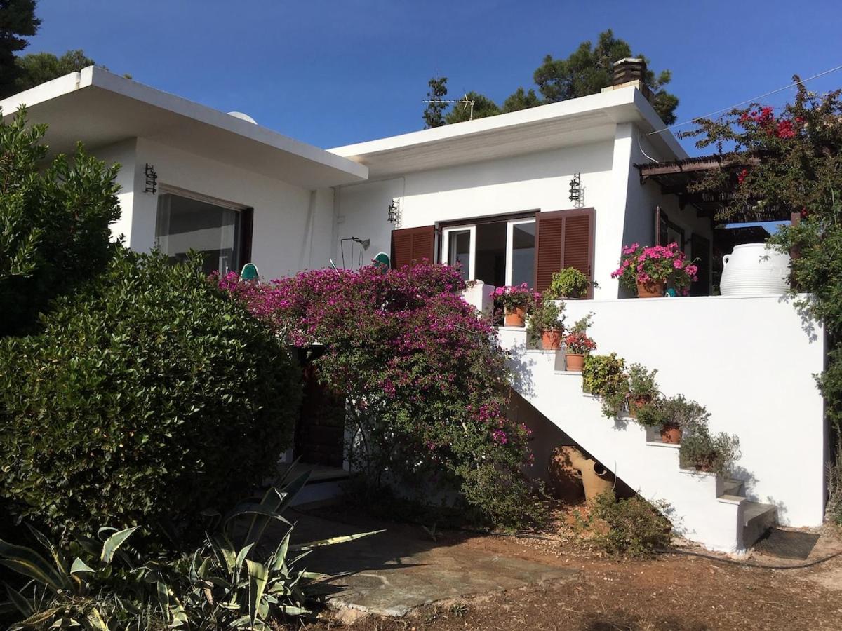Sunny and cozy cottage with seaview - Chambres d’hôtes Sounio