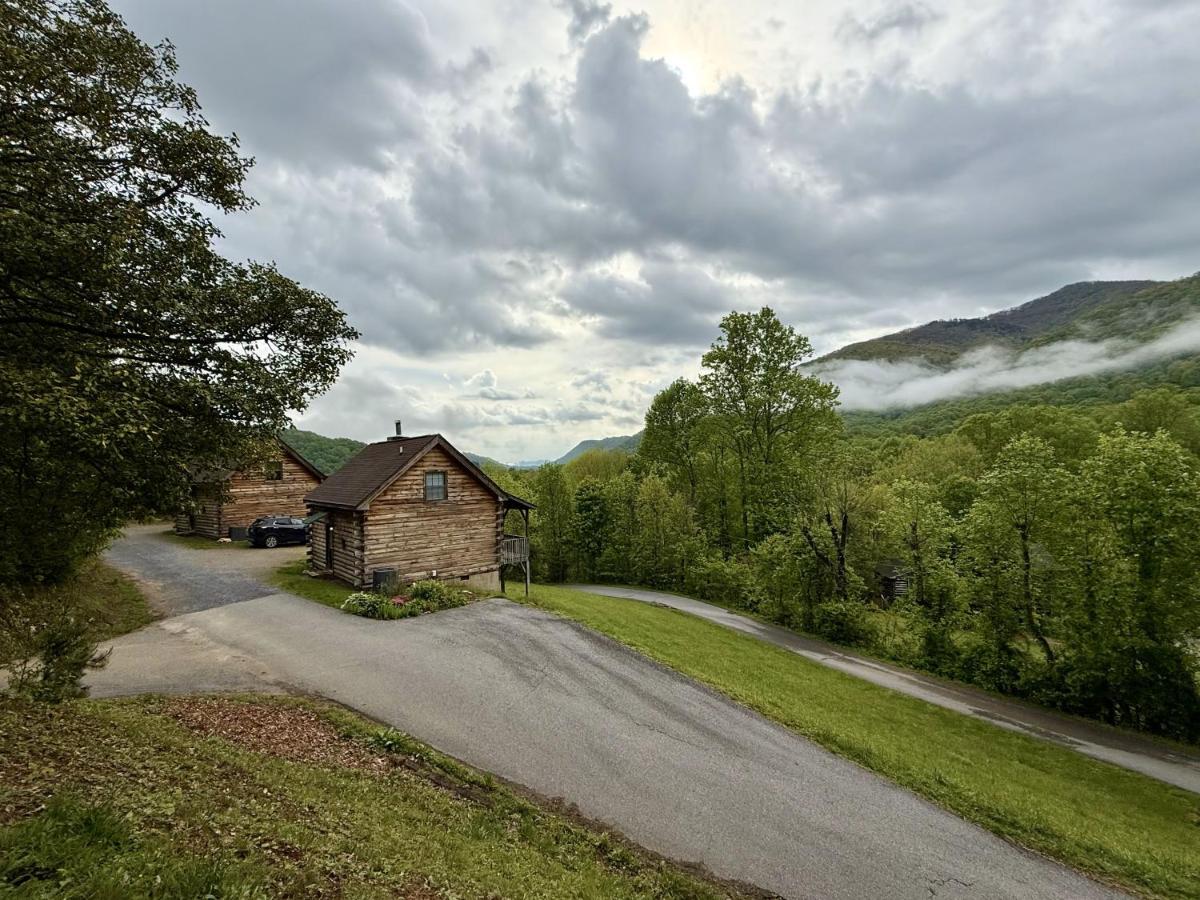 Cozy Bear Cabin-Stunning Mountain View, Dogs welcome with Pet Rate - B&B