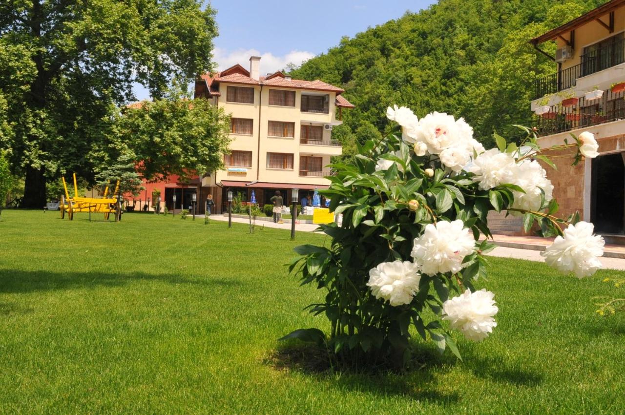 B&B Ognyanovo - Family Hotel Delta - Bed and Breakfast Ognyanovo