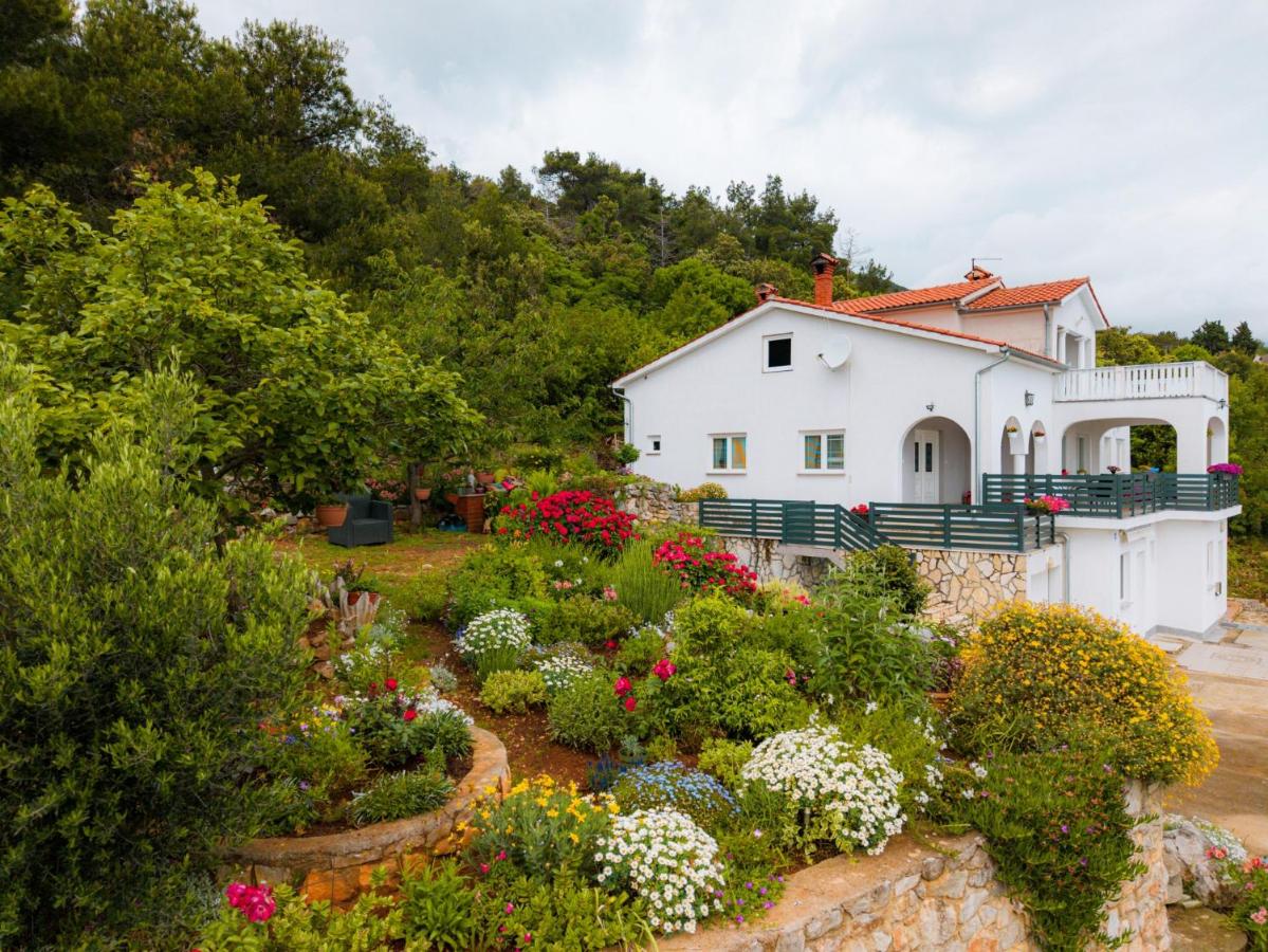 Villa Paradiso in Plomin - Istrien - B&B Plomin