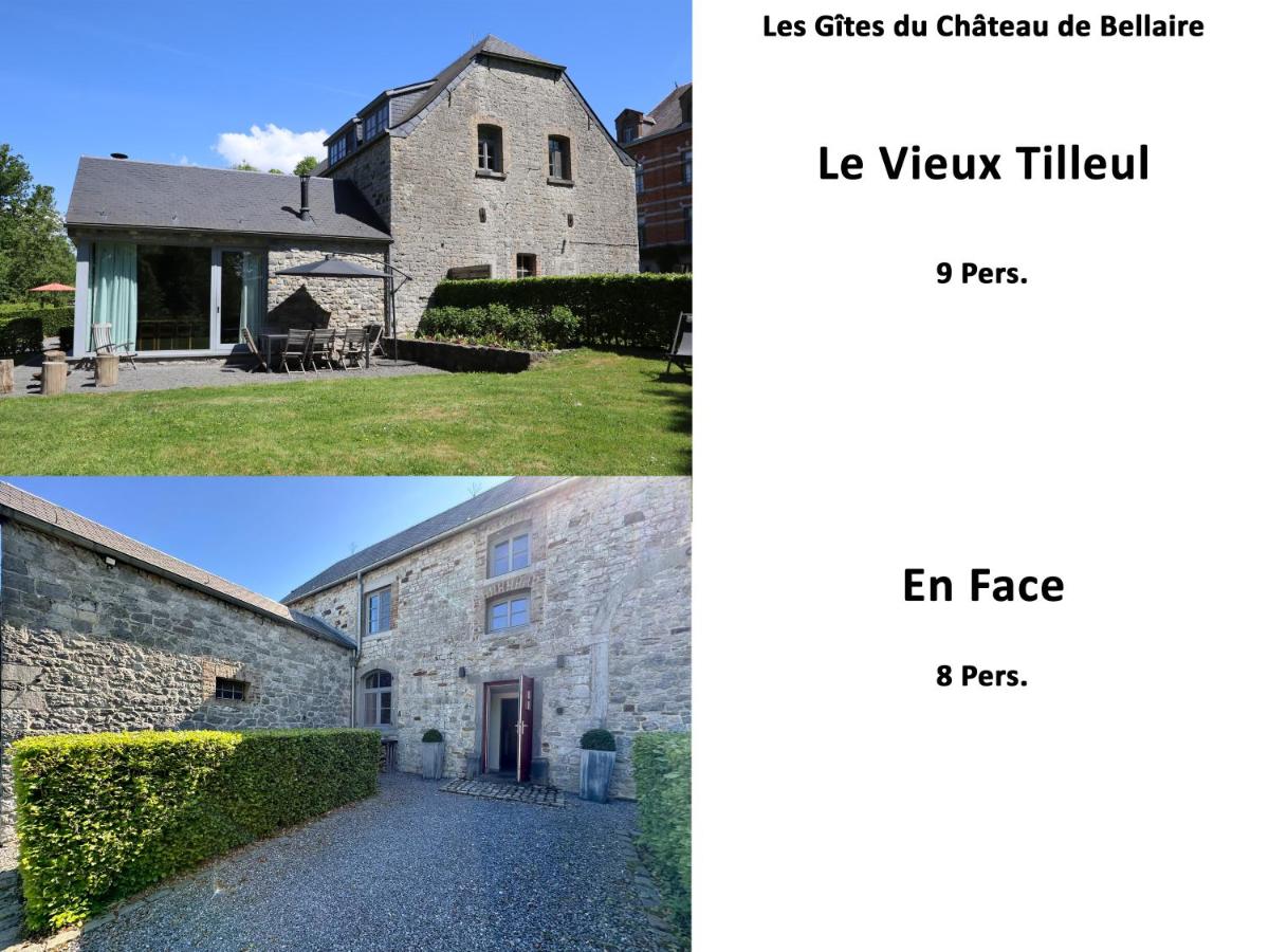Les Gîtes du Château de Bellaire - B&B