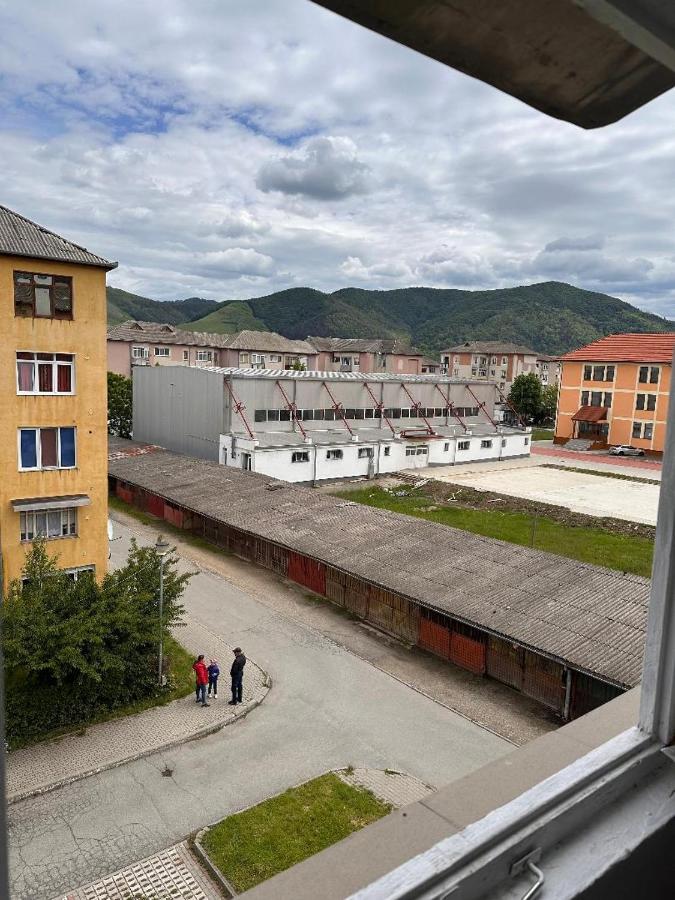 Cozy Comforts aprt in Cugir - B&B Cugir