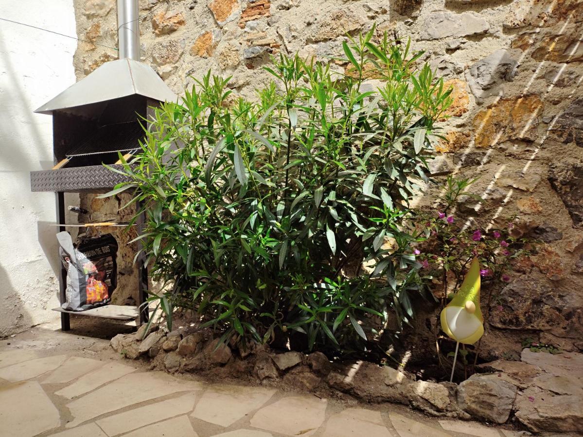 Les flamants roses - B&B Port-La Nouvelle