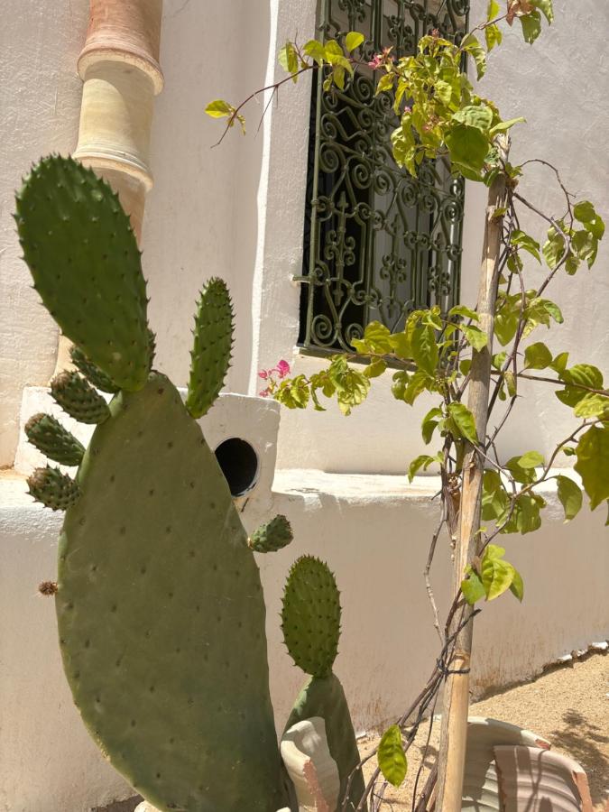 Djerba houch - B&B El Mây