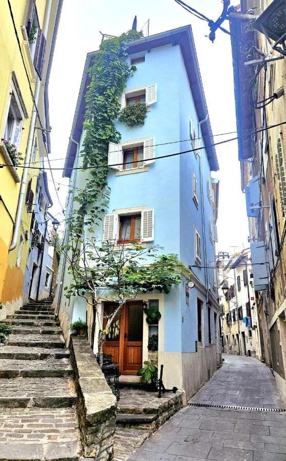 Studio Edra Piran - B&B