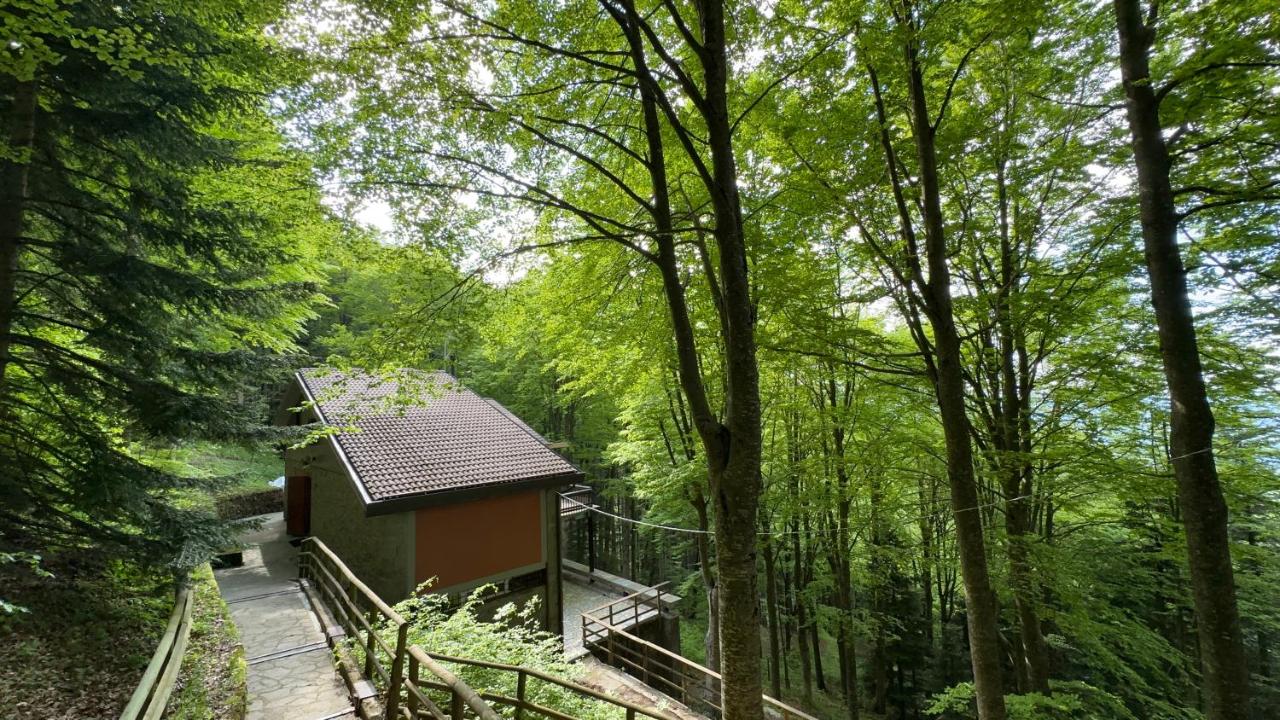 Villa Panoramica Indipendente - 10 posti letto - B&B