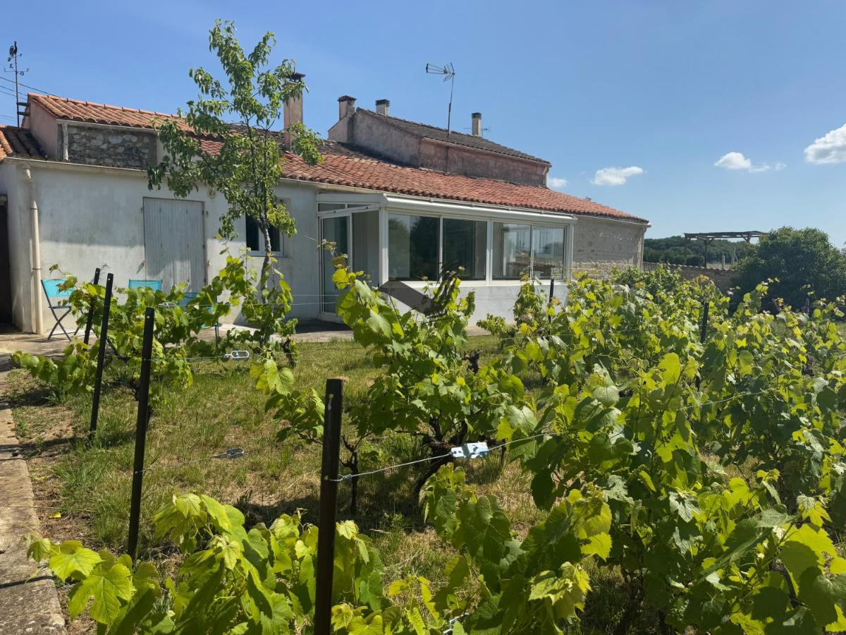 Dans mon Verger - Agréable maison idéalement située - B&B Saint-Agnant