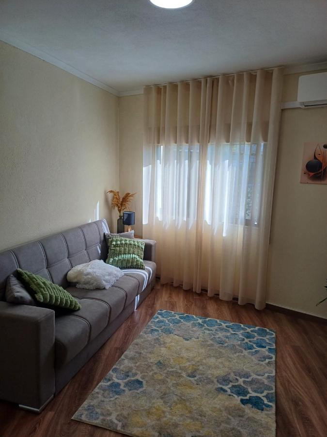 Two-Bedroom Family Apartment