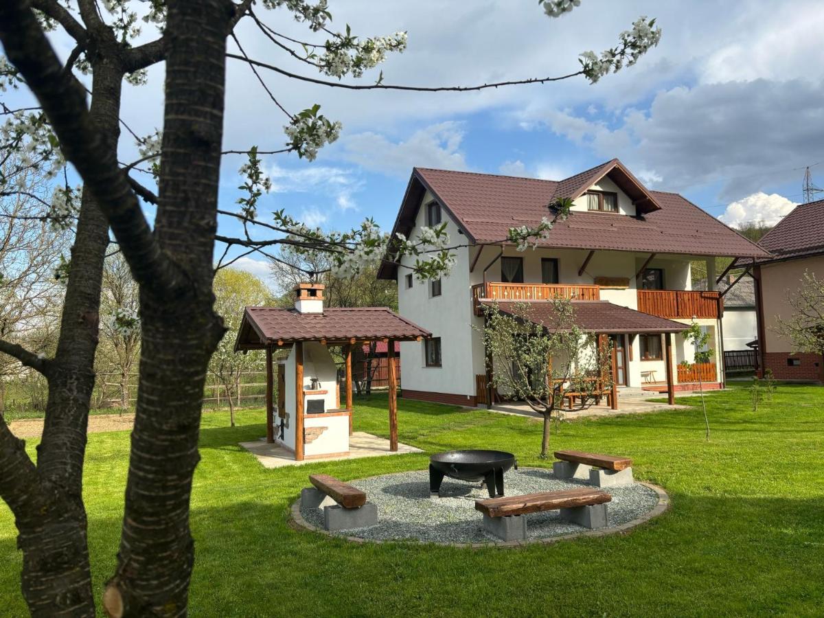 Cabana Umbra Brazilor - B&B Vişeu de Jos