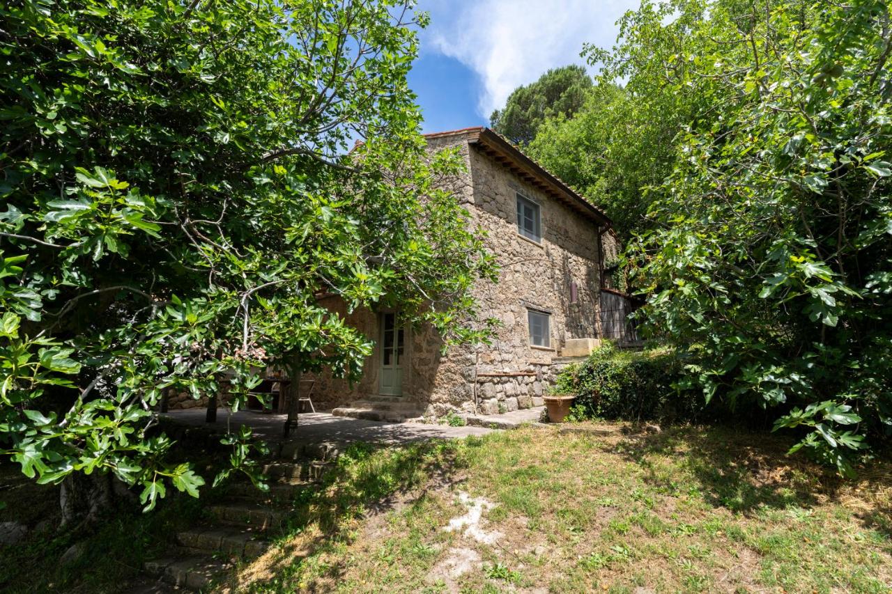 Podere Tepolino - B&B