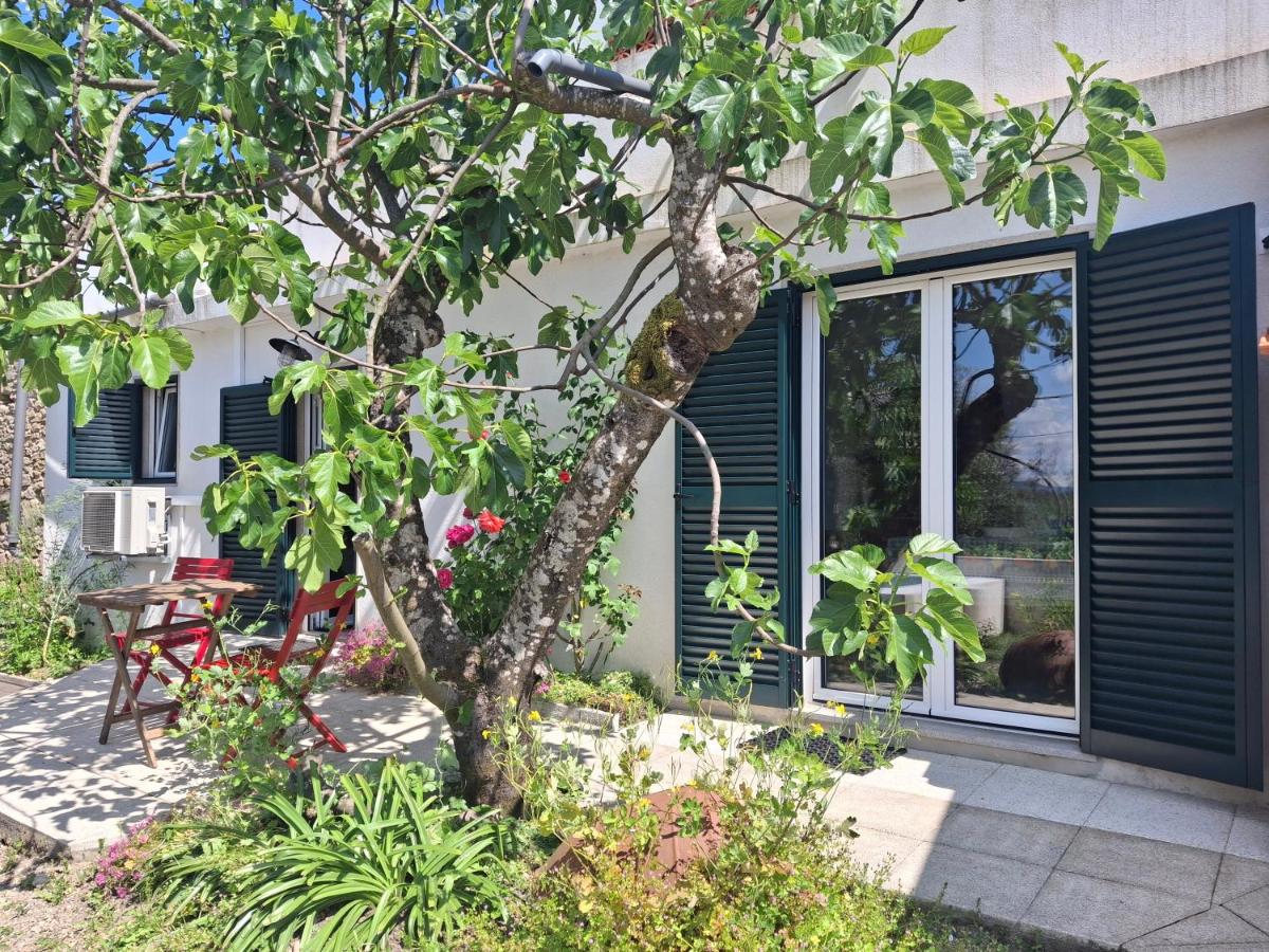 Casa rústica com terraço e jardim - Ferienwohnung Águas