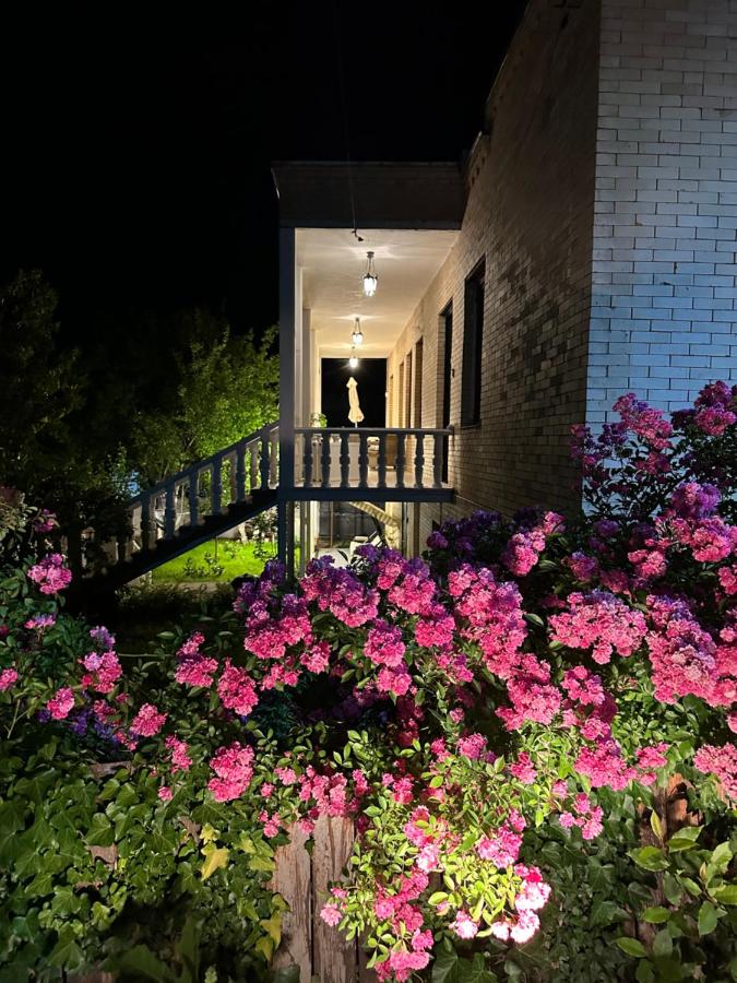 Khedi house - B&B