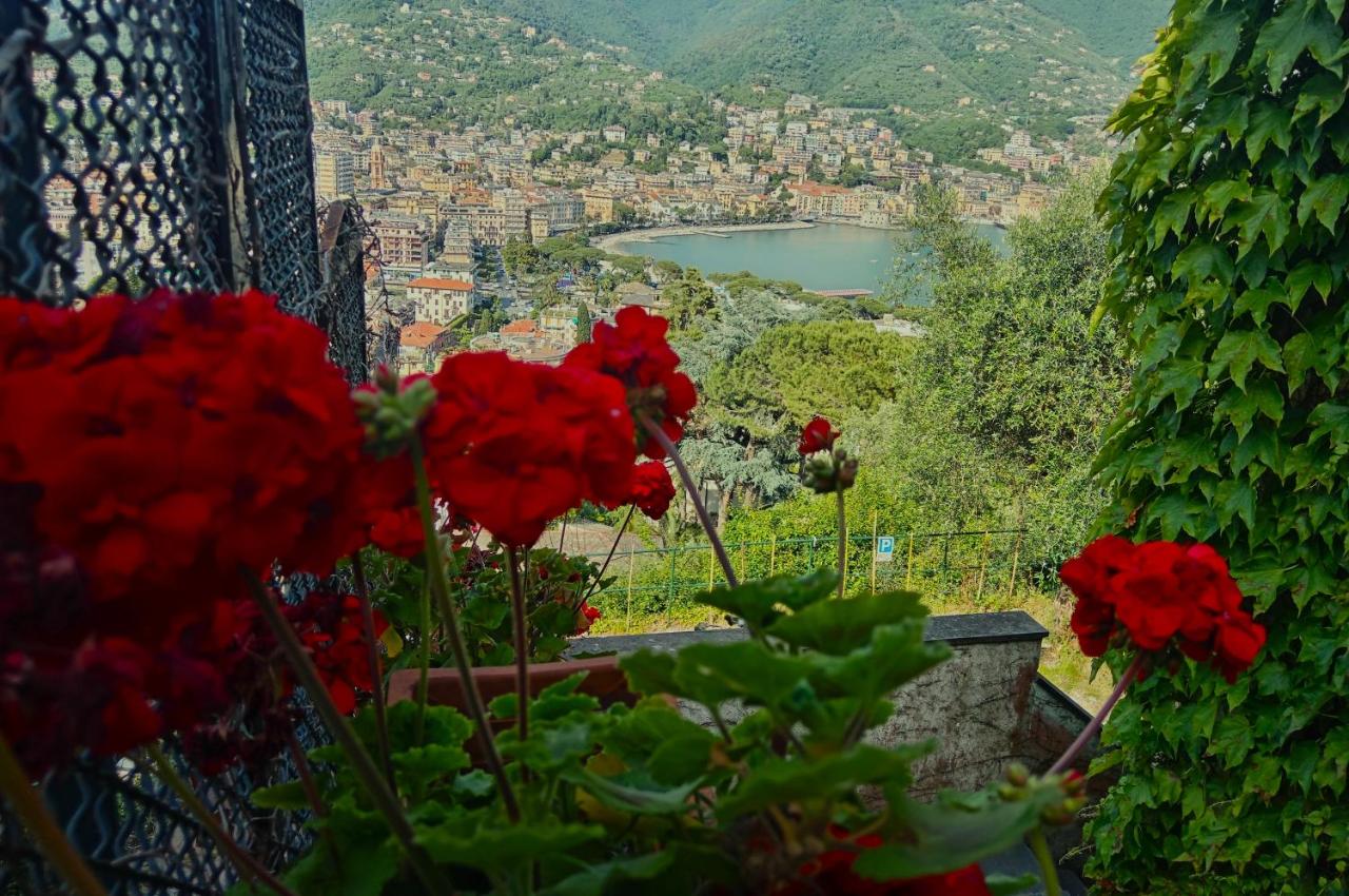 Sunrise - Ferienwohnung Rapallo
