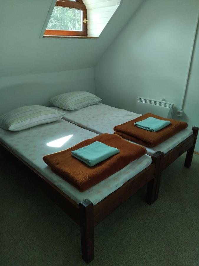 Single Bed in Dormitory Room