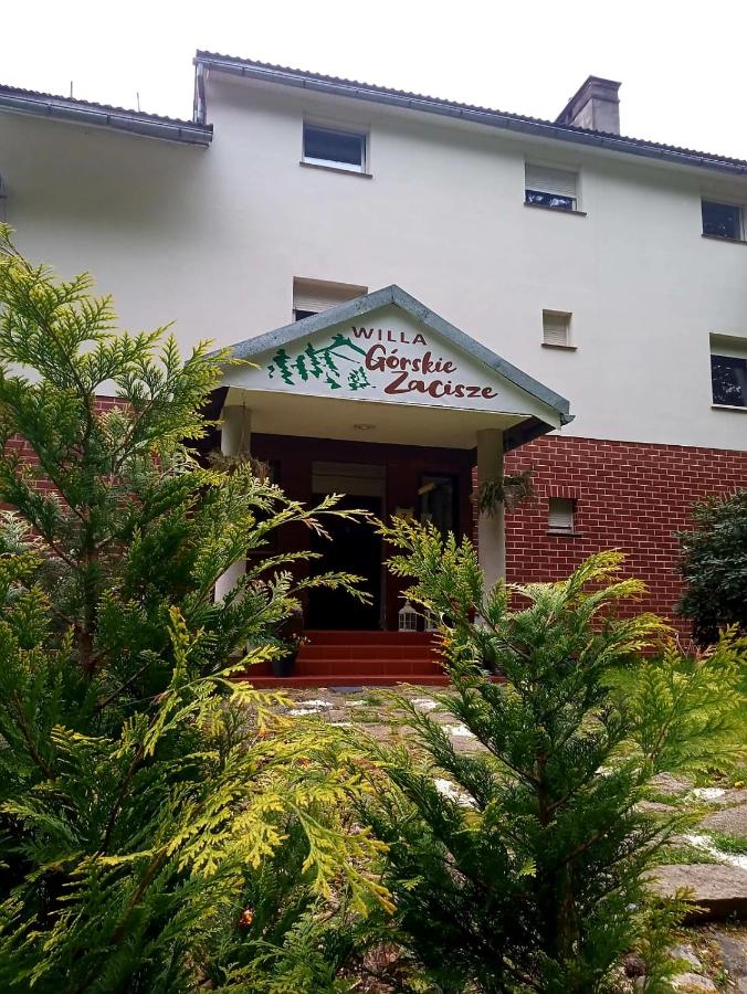 Willa Górskie Zacisze - B&B