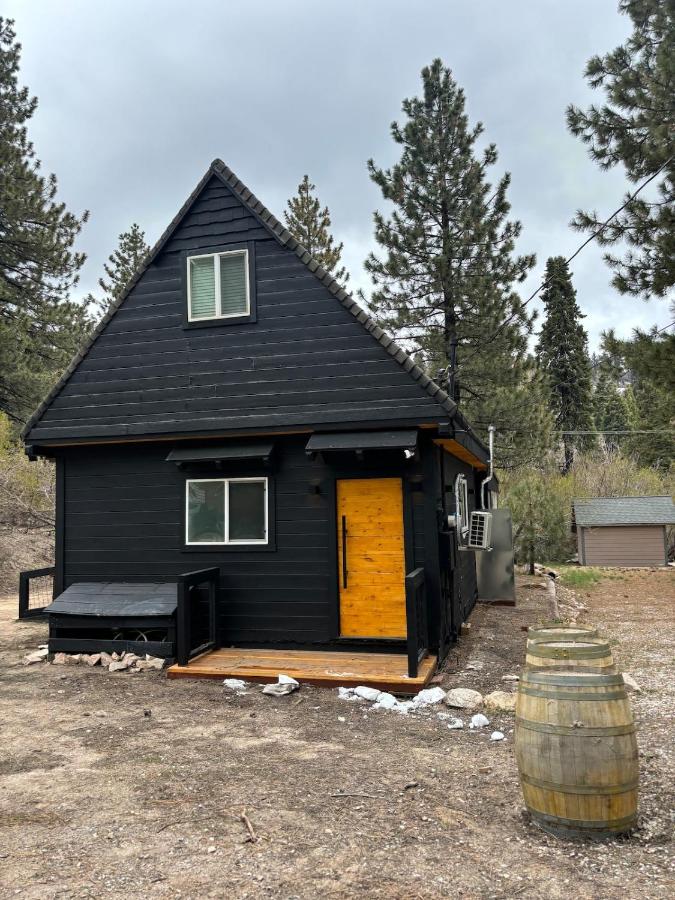 The Honey Bear Cabin Jacuzzi EV Friendly Renovated - B&B