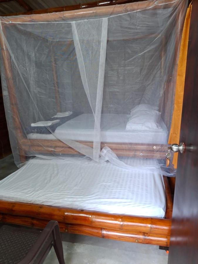 Habitación Doble - 1 o 2 camas